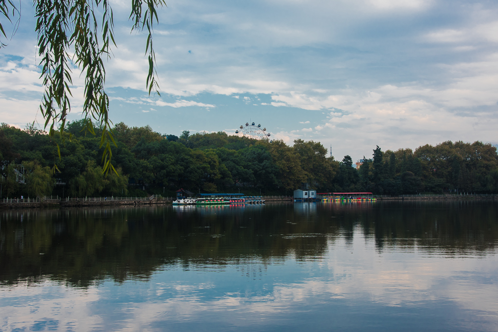 DSC_0150.jpg