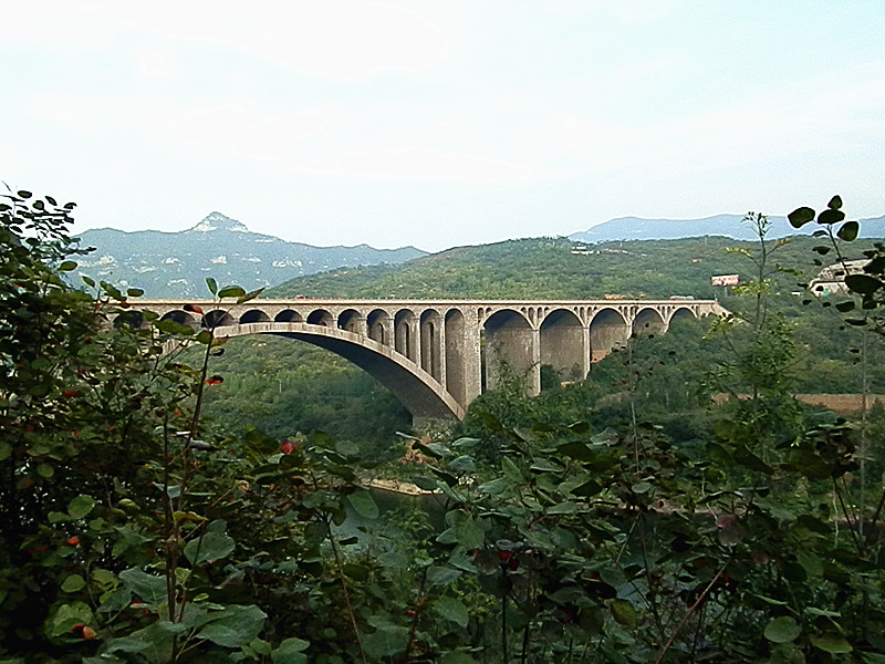 P9170015.JPG