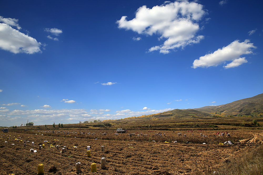 XT5A2112.jpg