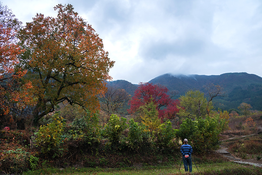 DSC_0405---.jpg