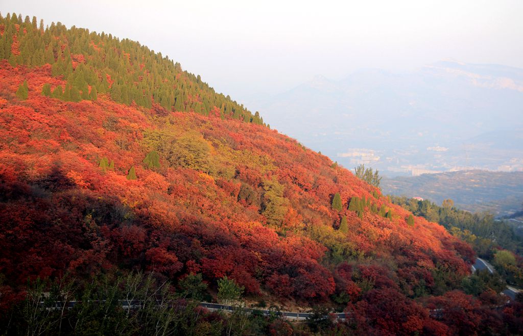 IMG_1025_副本.jpg
