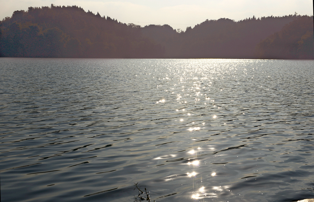DSC_9617.JPG