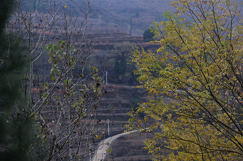 IMG_8571_副本.jpg
