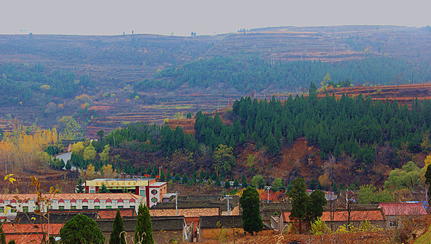 IMG_8586_副本.jpg
