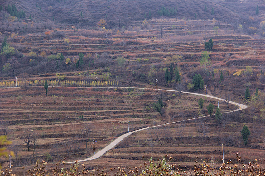 IMG_8574_副本.jpg