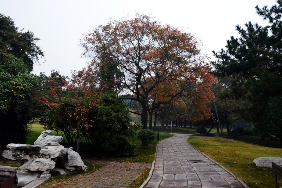 conew_conew_dsc_0954.jpg