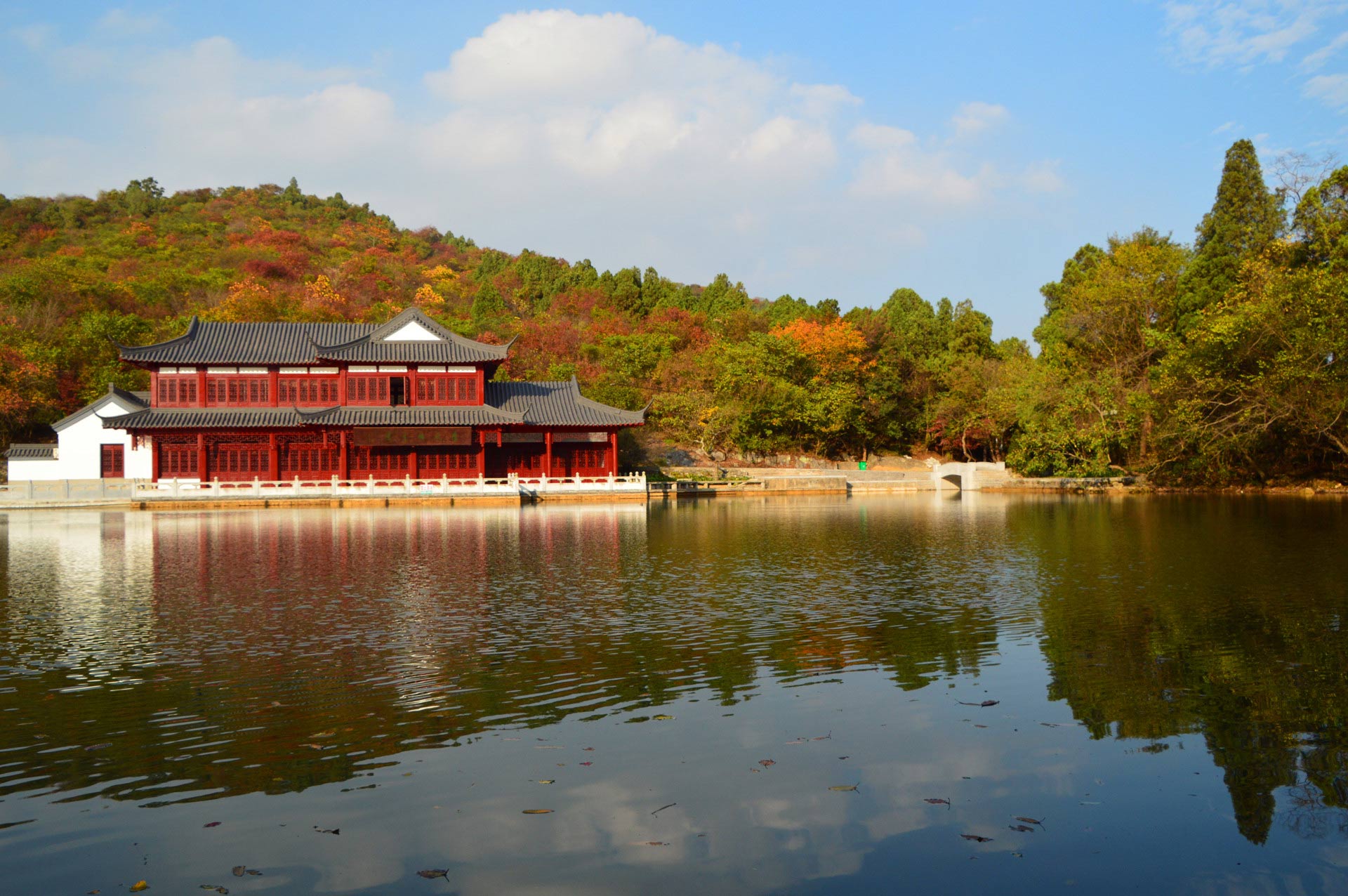 DSC_1284_副本.jpg