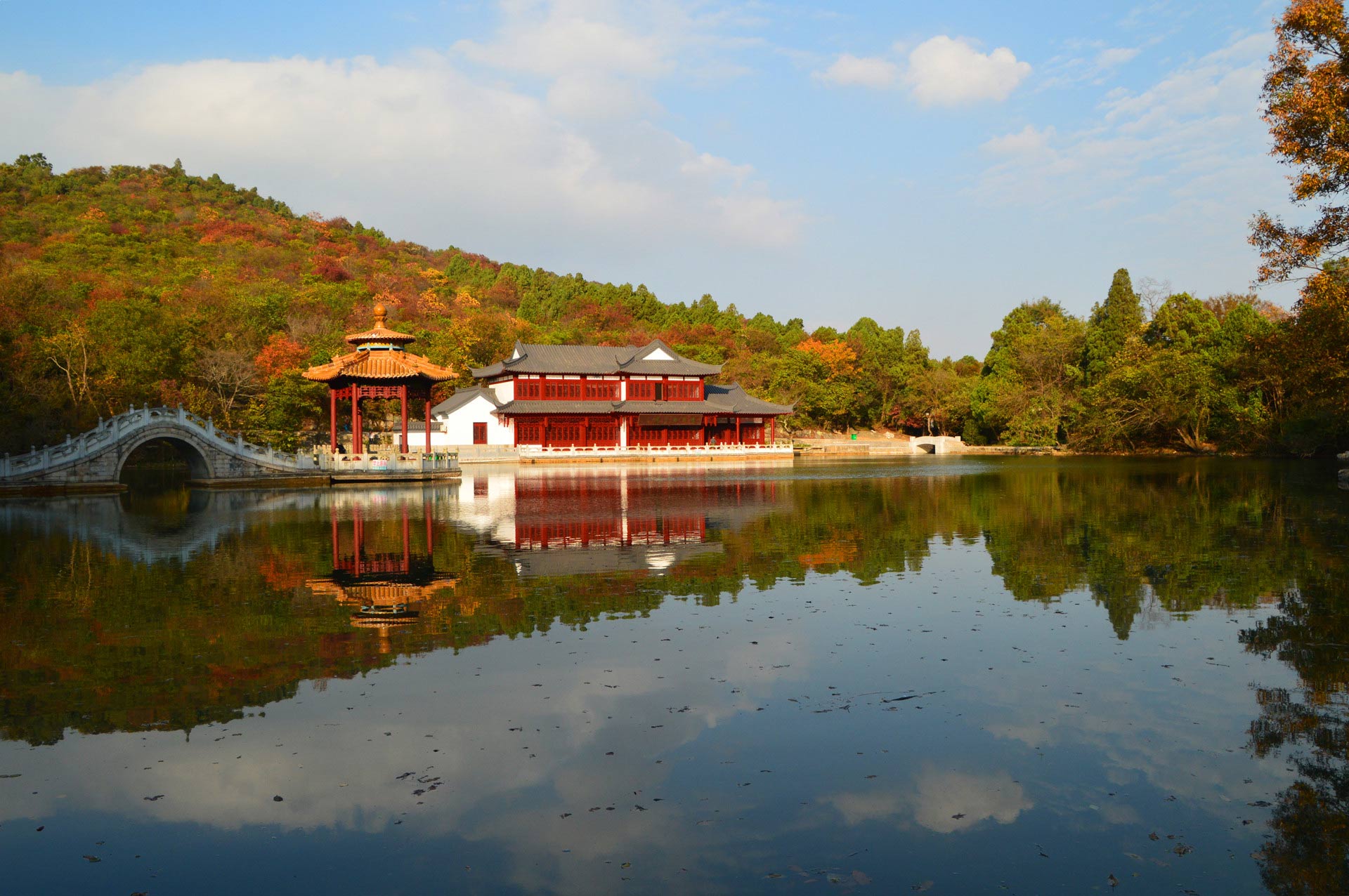 DSC_1298_副本.jpg