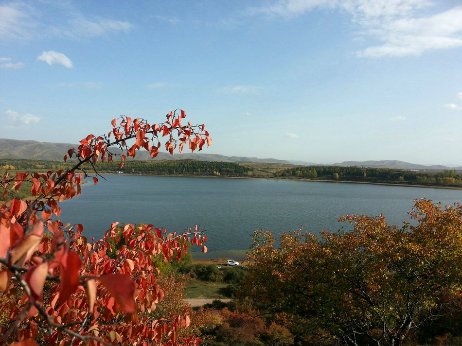 20151004_155957_1.jpg