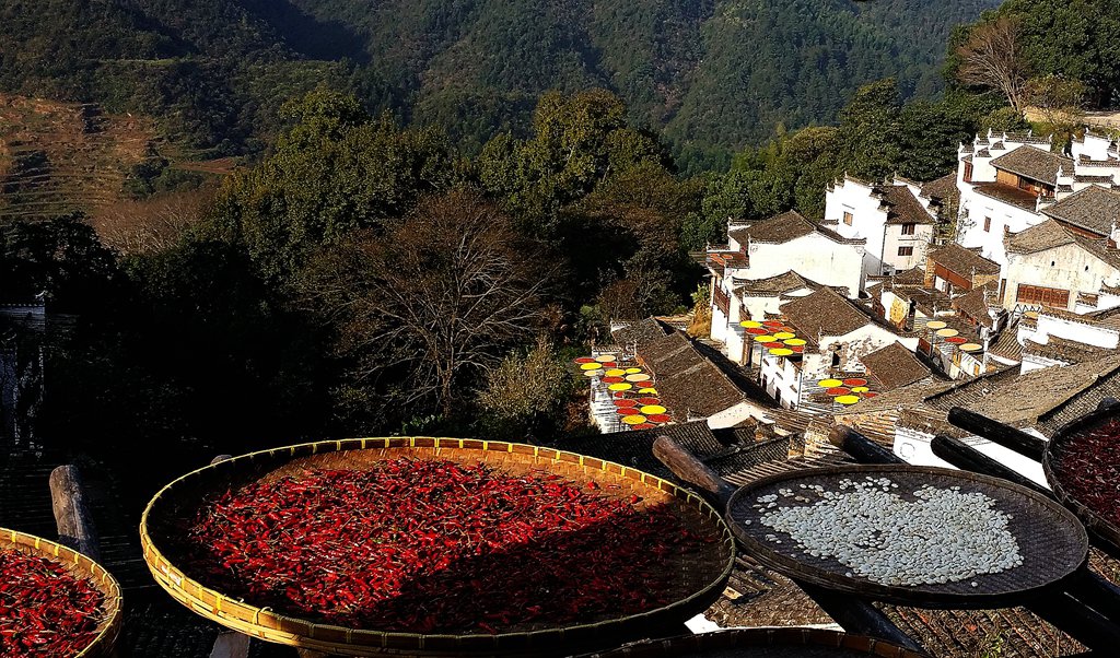 20141104_082047_副本.jpg