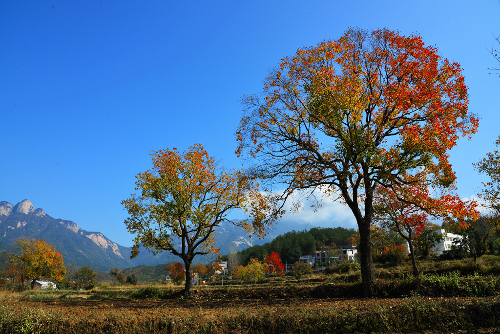 DSC_1842.JPG