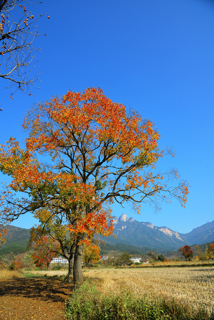 DSC_1847.JPG