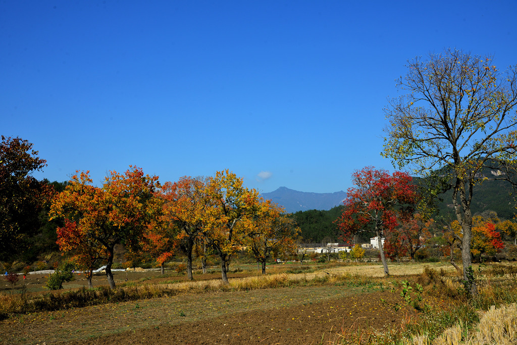 DSC_1857_副本.jpg