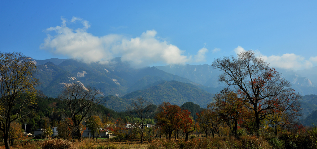 DSC_1801_副本.jpg