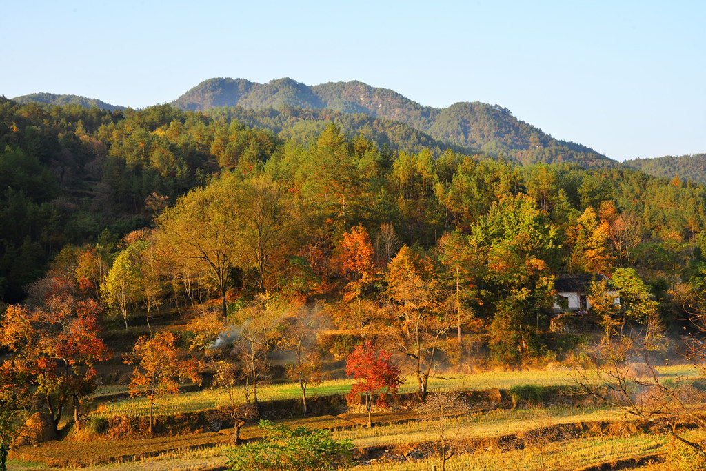 DSC_1922.JPG
