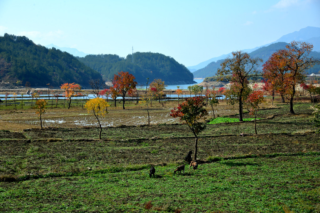 DSC_1844.JPG