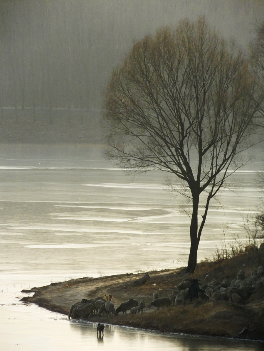 DSCF6872.JPG