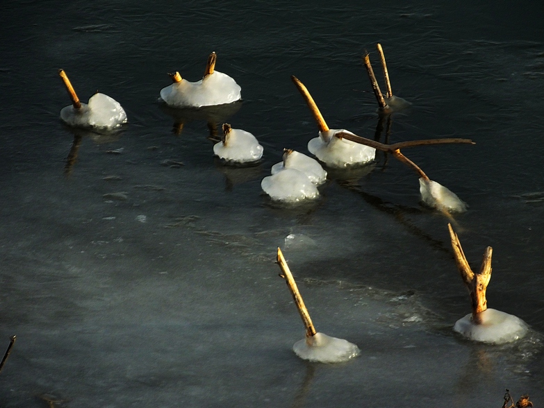 DSCF6834.JPG