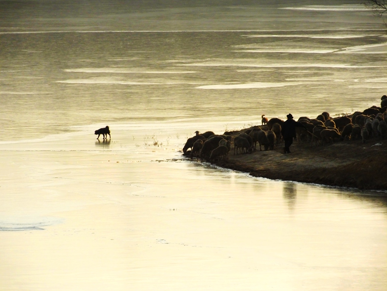 DSCF6866.JPG