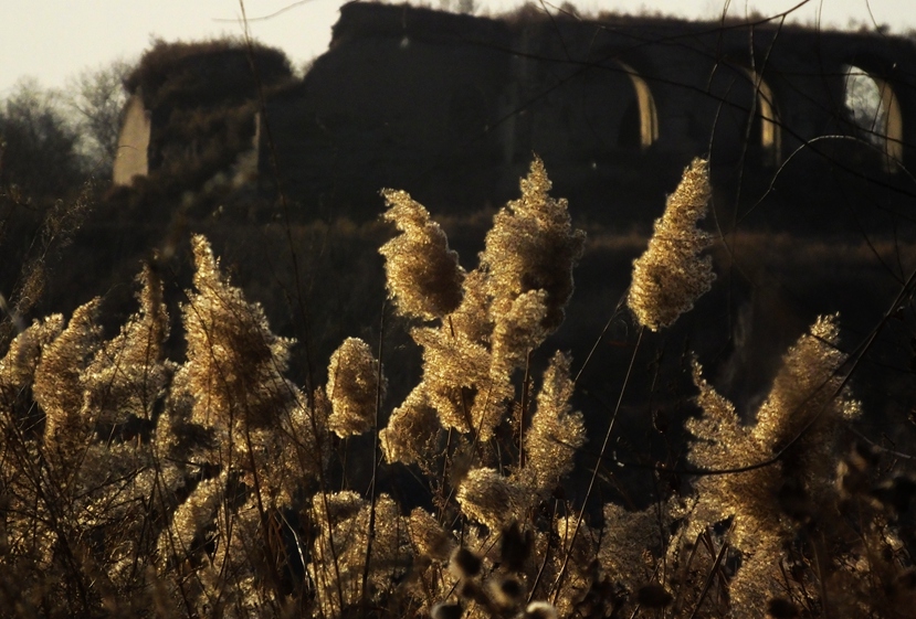 DSCF6733.JPG