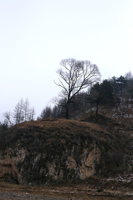 7275.jpg