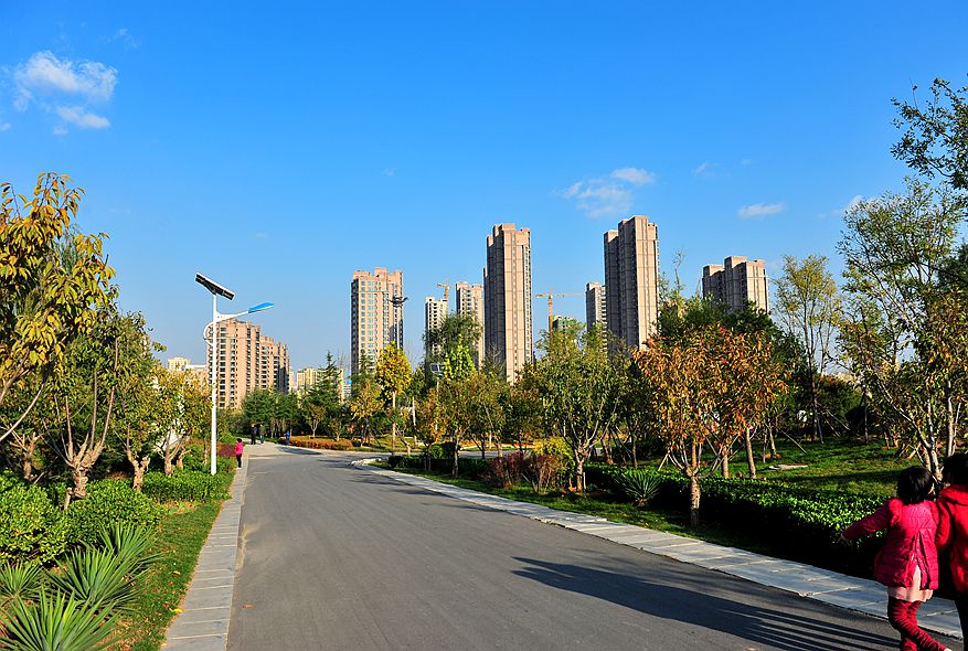 DSC_4796_副本.jpg