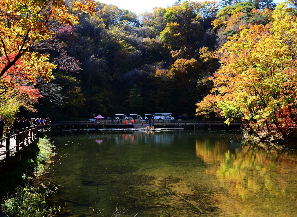 DSC_2051_副本_副本.jpg
