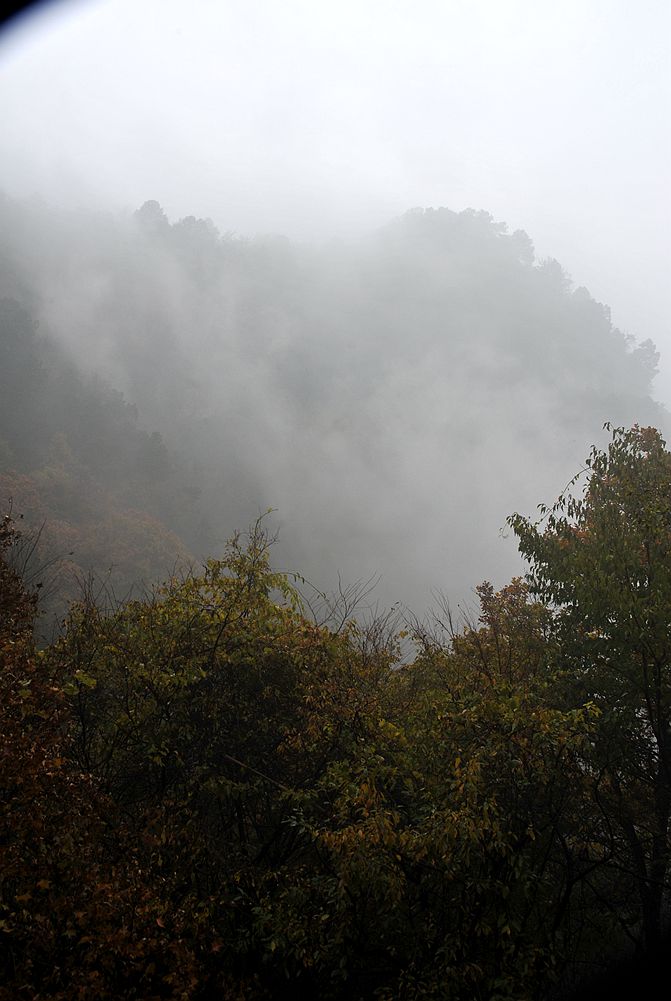 DSC_3504_副本.jpg