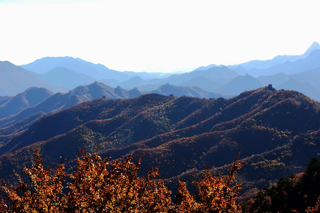DSC_7632_副本_副本.jpg