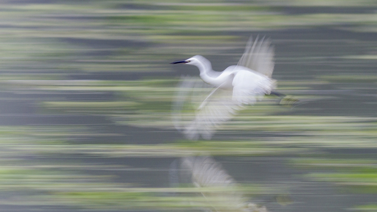 IMG_5296.jpg