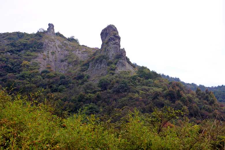 IMG_0484_conew1.jpg