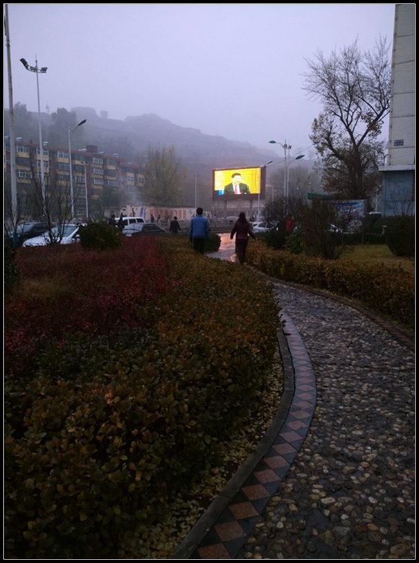 IMG_20151113_080038.jpg