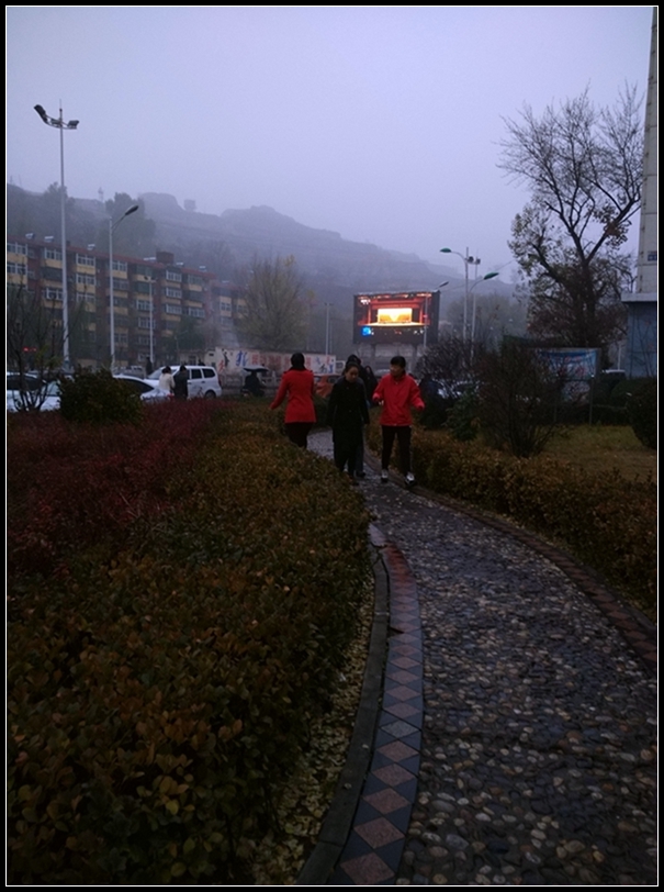 IMG_20151113_080050.jpg