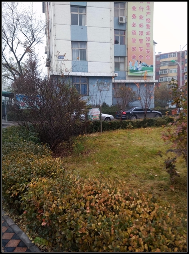 IMG_20151113_080121.jpg
