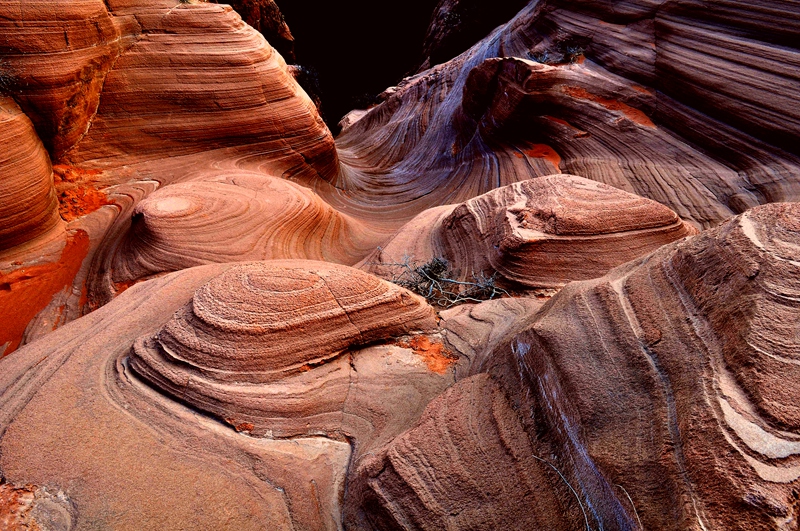 DSC_0056_副本.jpg