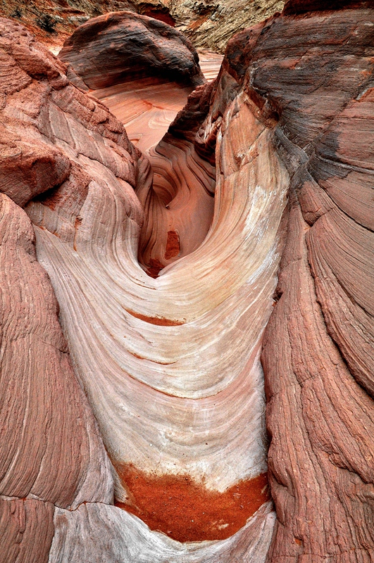 DSC_0491_副本.jpg