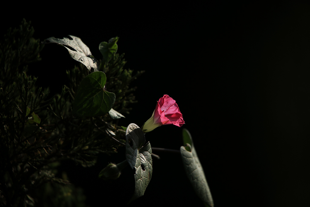 289A0072-.jpg