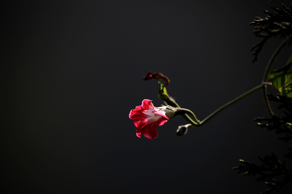 289A0119-.jpg