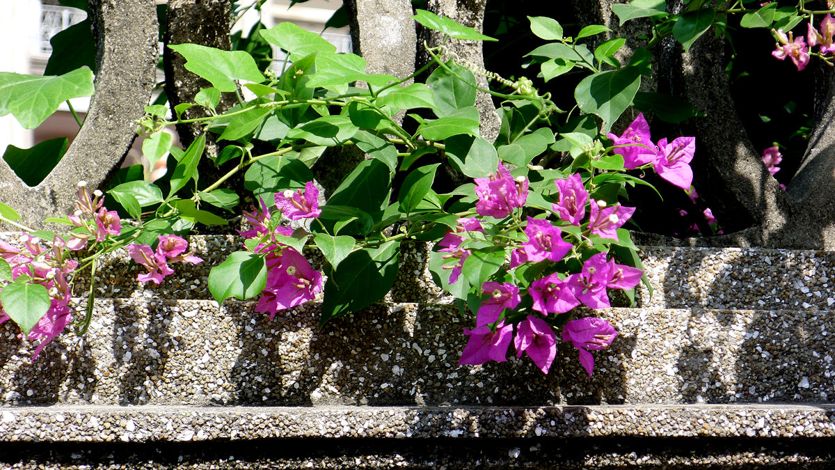 L1320101_副本.jpg