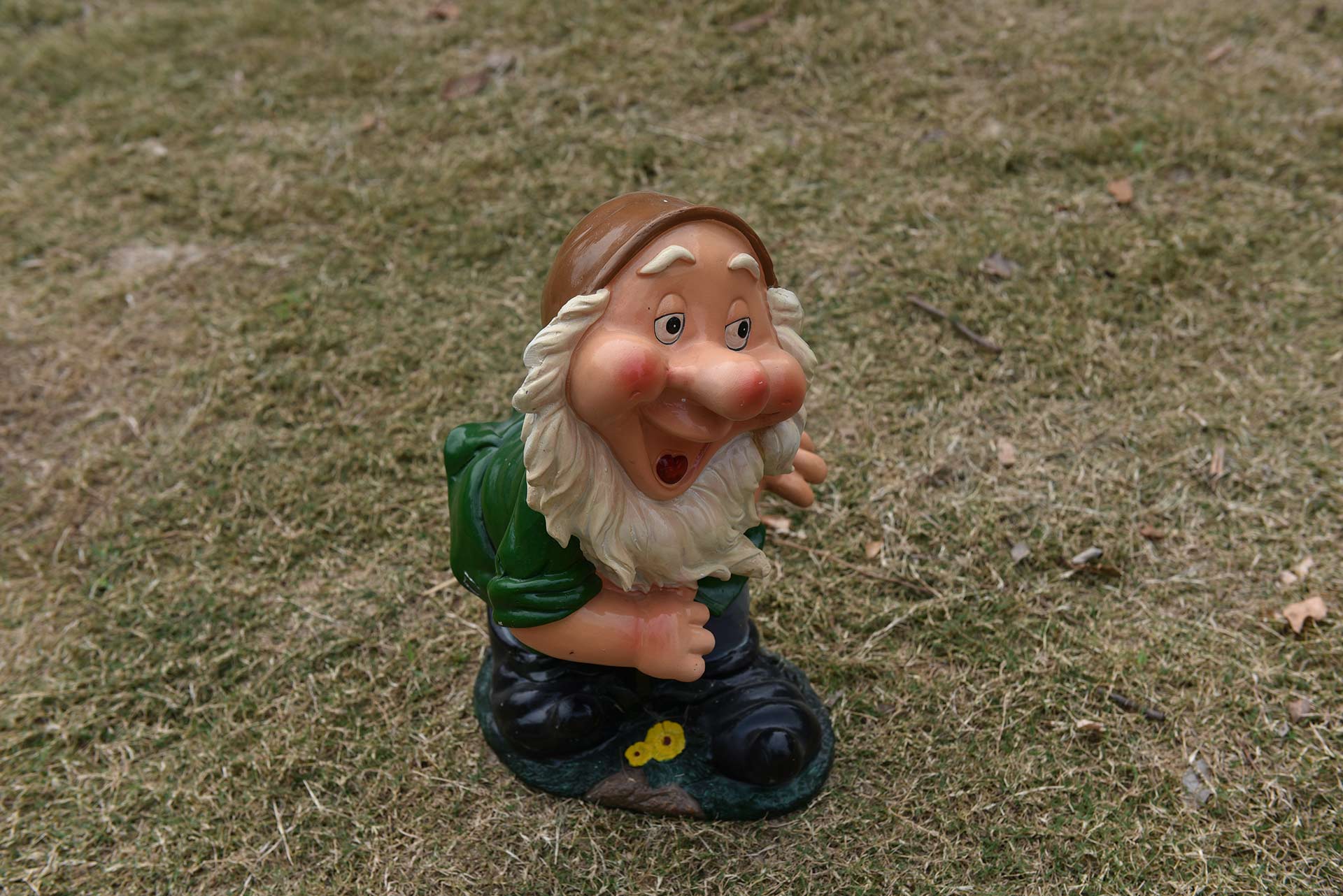 DSC_4457.jpg