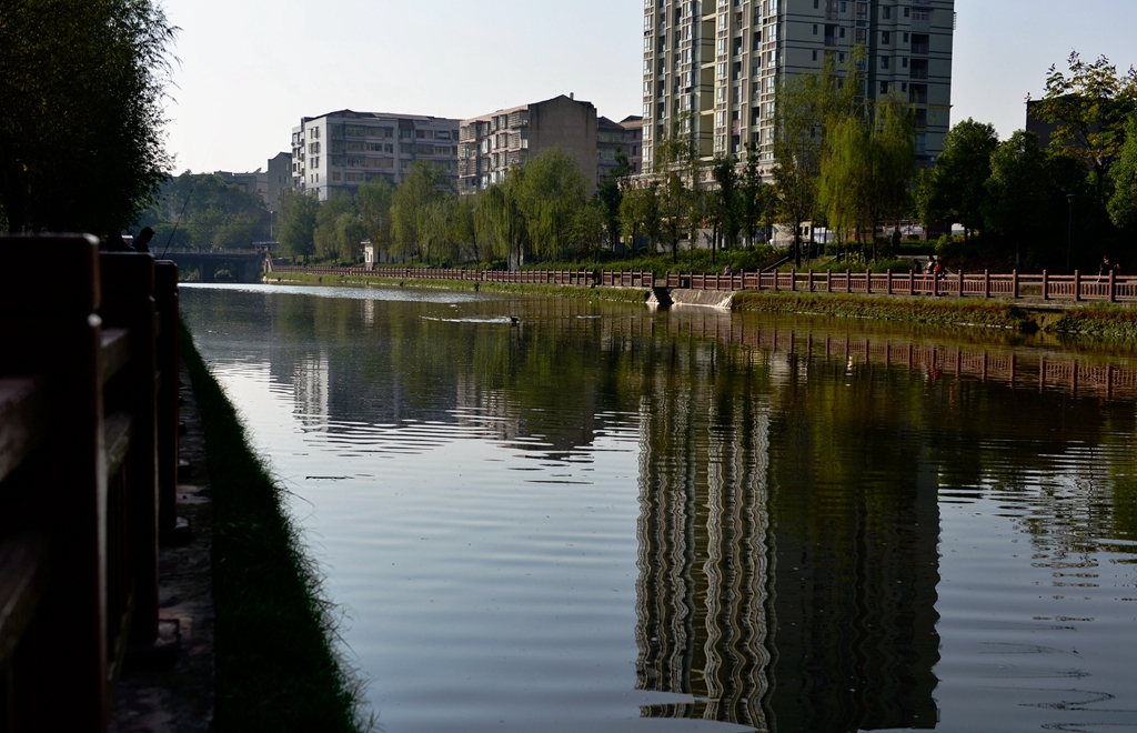 DSC_9742.JPG
