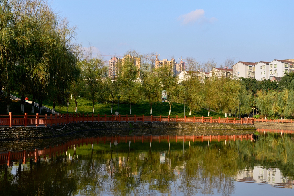 DSC_9766.JPG
