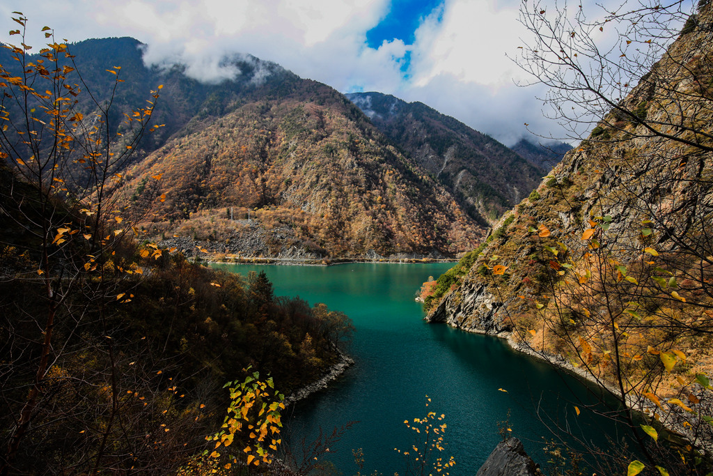 YX_15156-1.jpg