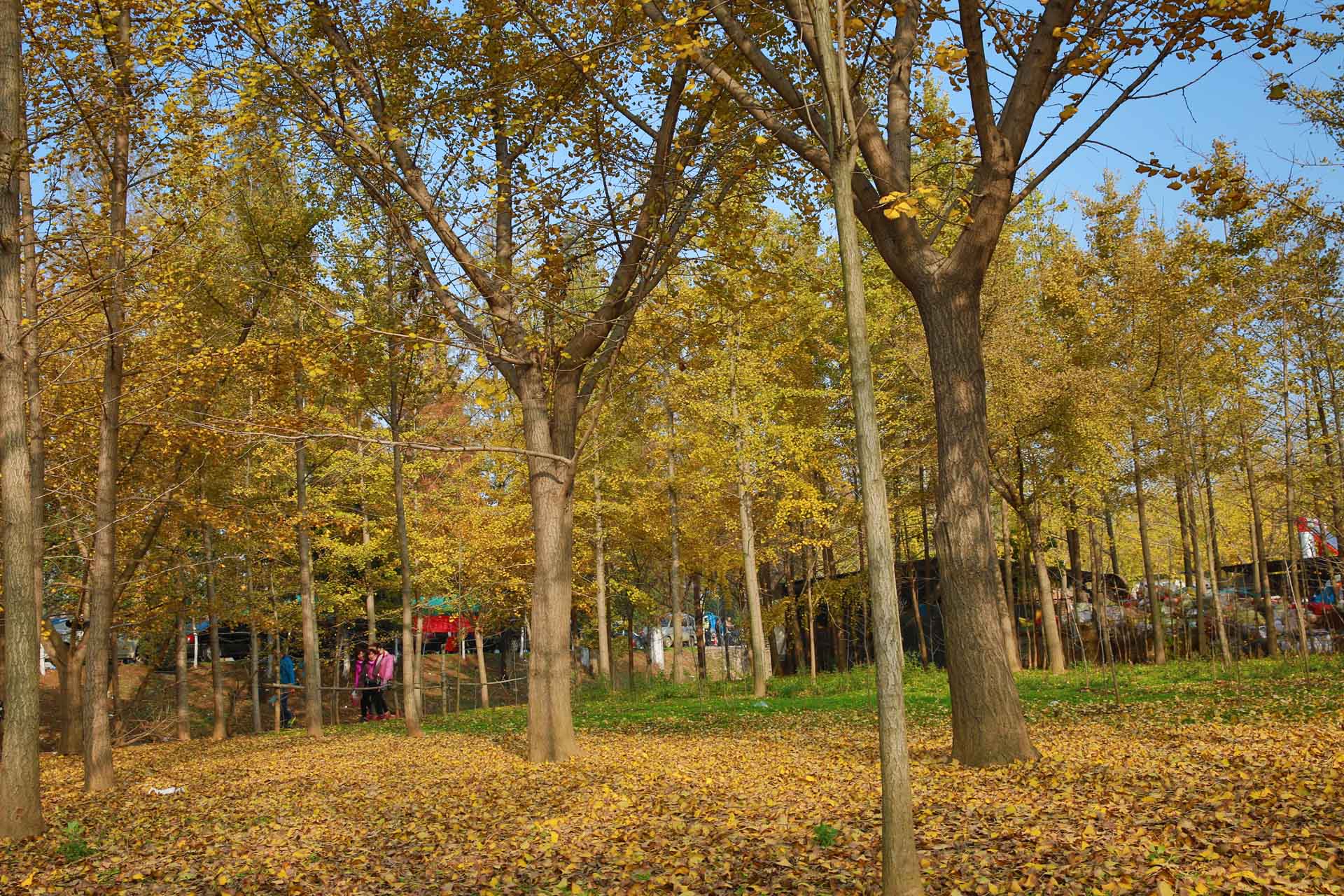 301A9505.jpg