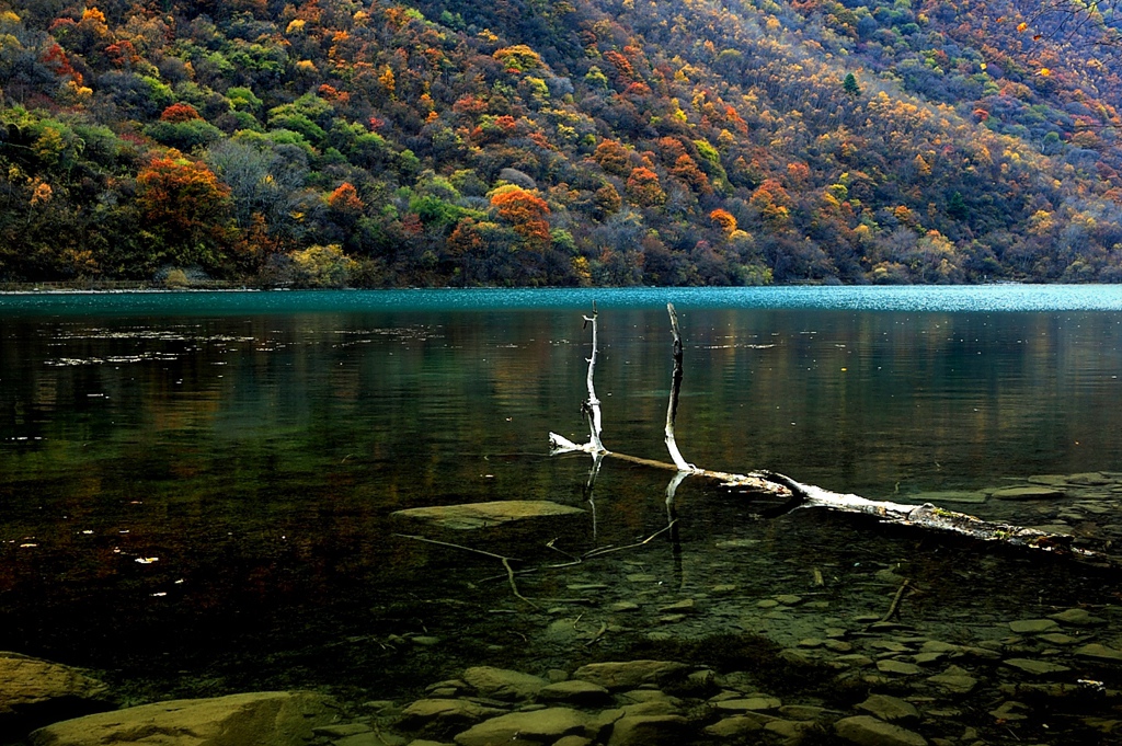 大美松坪沟22.jpg