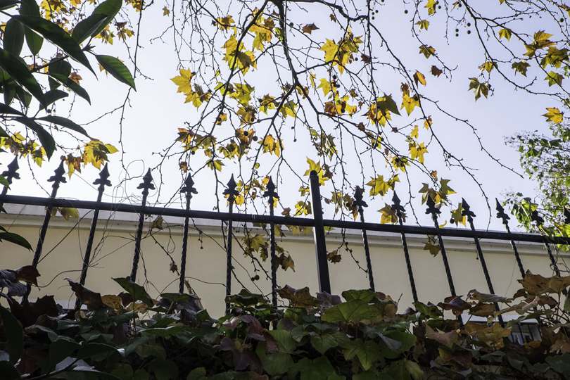 DSCF0787.jpg