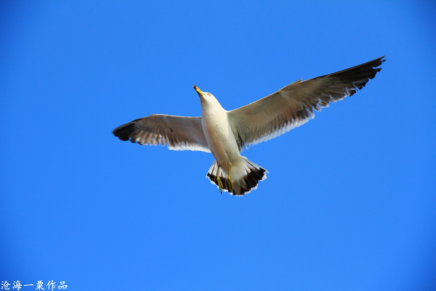 IMG_2643.jpg