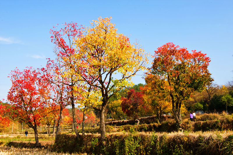 DSC_0844.jpg