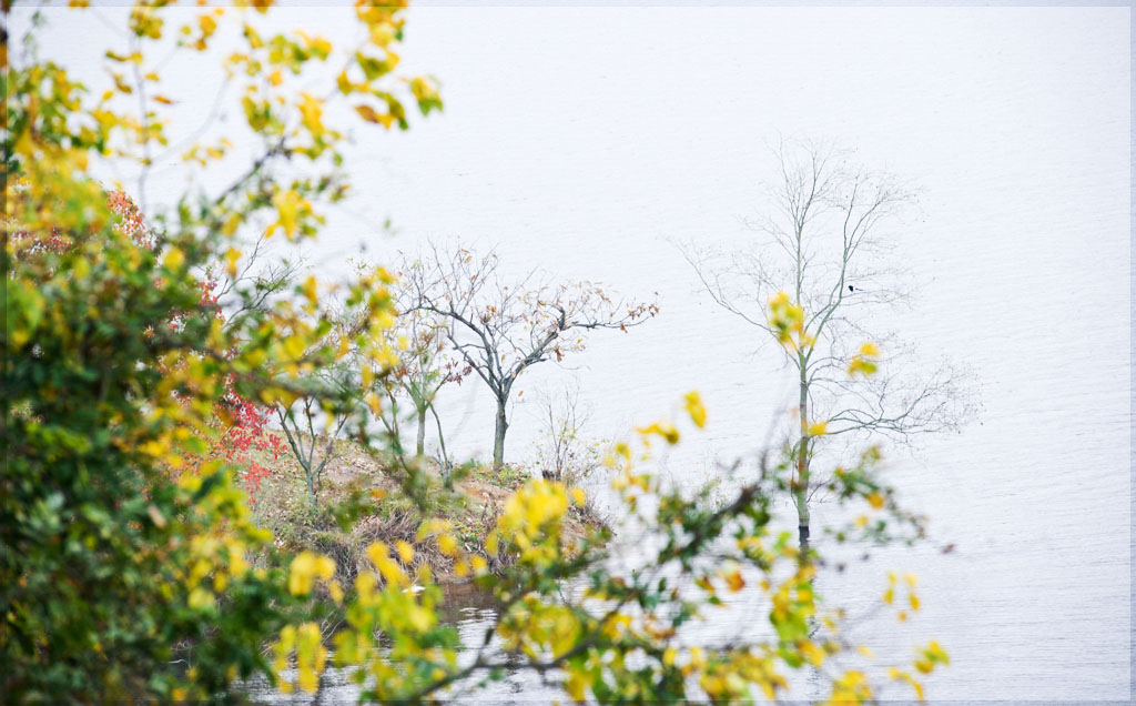 DSC_0708.jpg