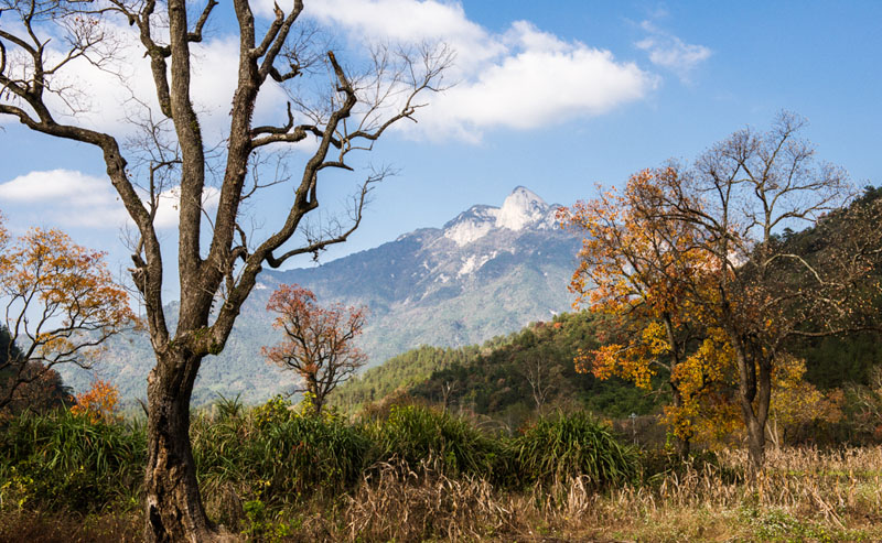 20151109-DSC_0419.jpg
